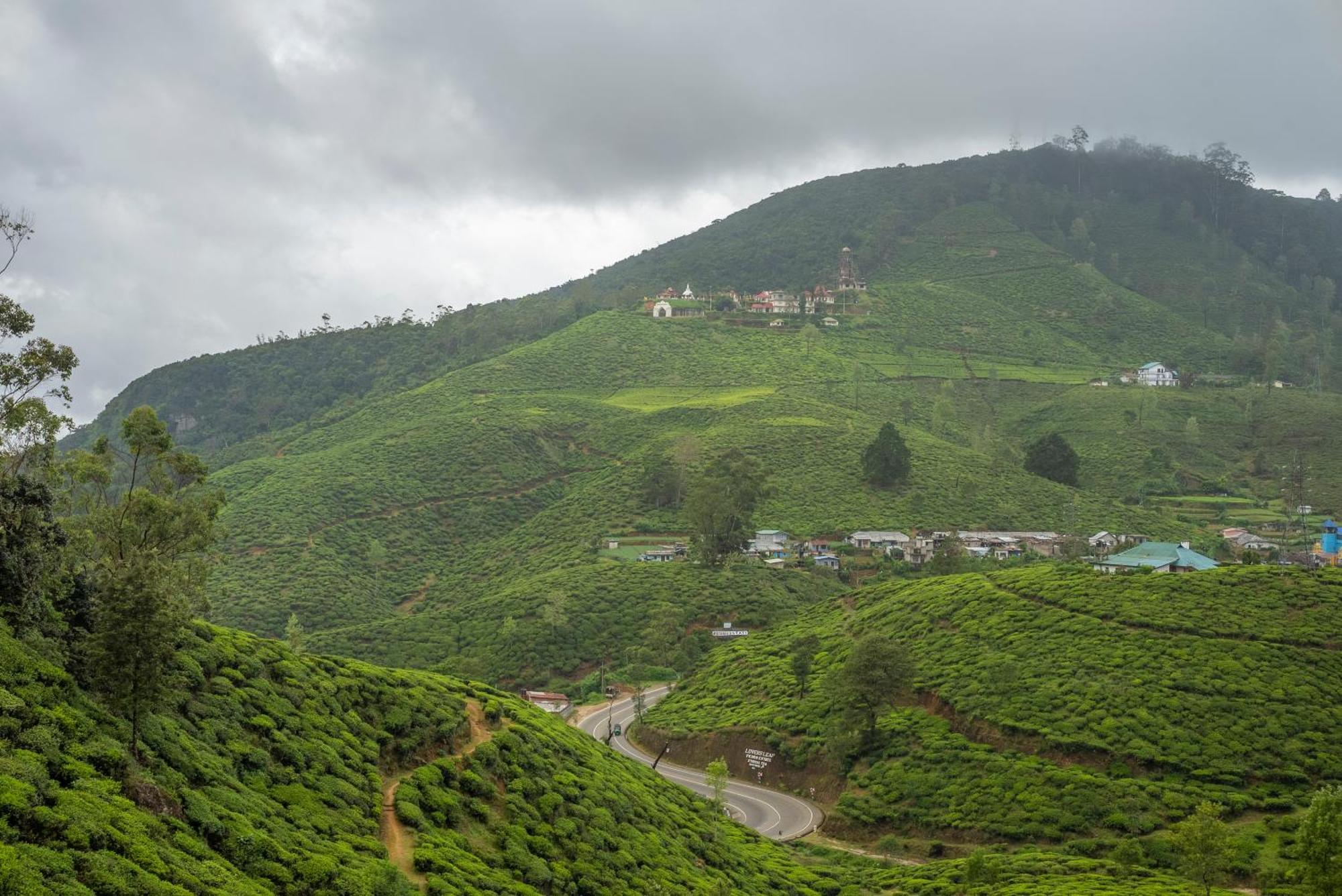 Hotel Aaradhya Nuwara Eliya Extérieur photo