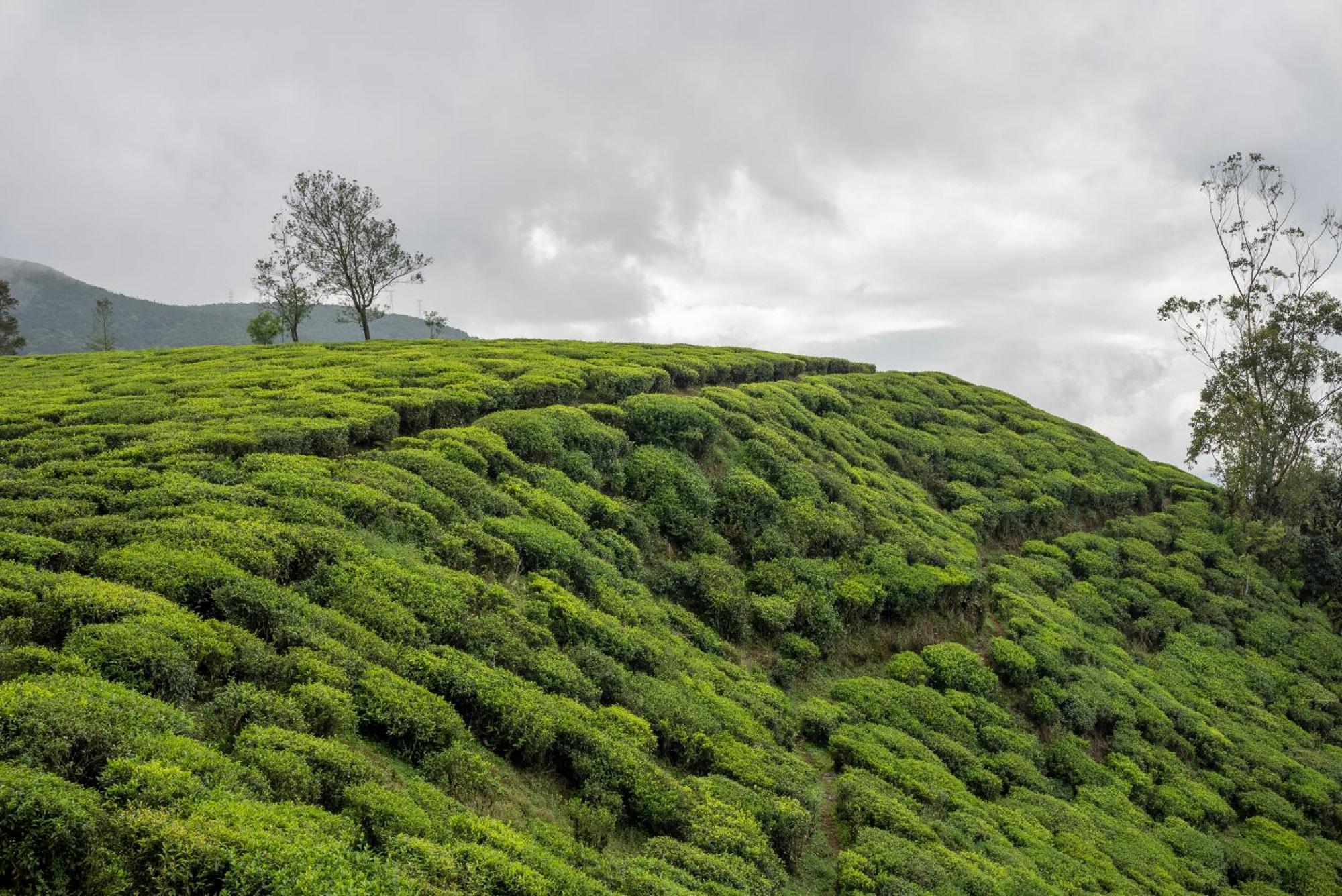 Hotel Aaradhya Nuwara Eliya Extérieur photo