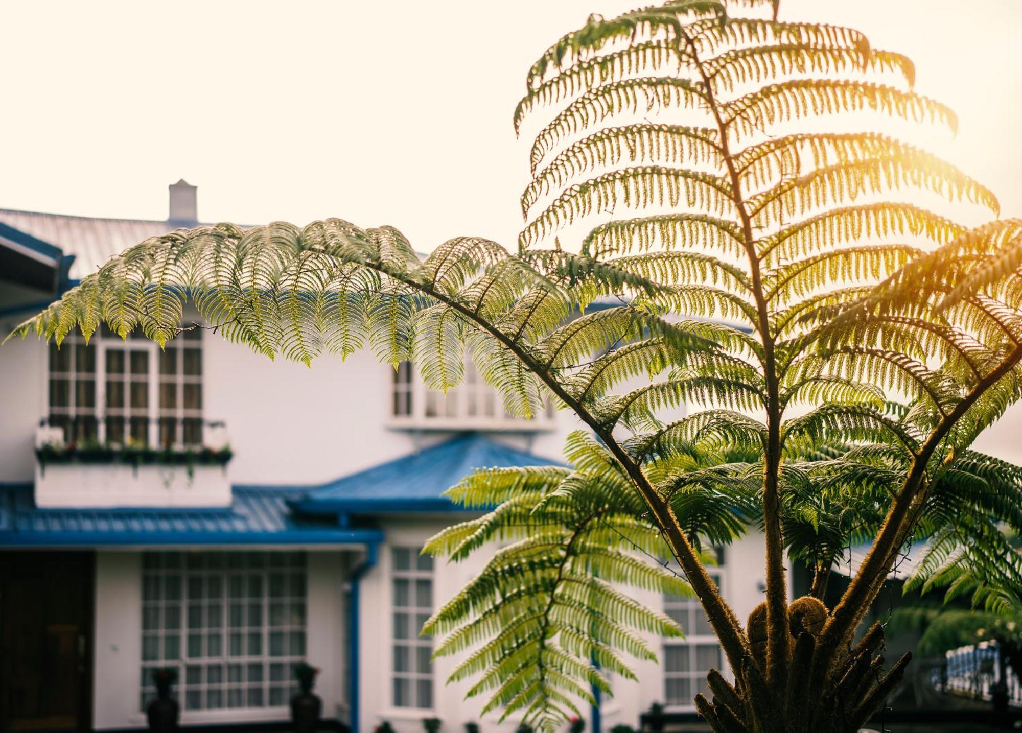 Hotel Aaradhya Nuwara Eliya Extérieur photo